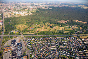 Vue aérienne de Golf Club Mannheim-Viernheim 1930 eV à Viernheim dans le département Hesse, Allemagne