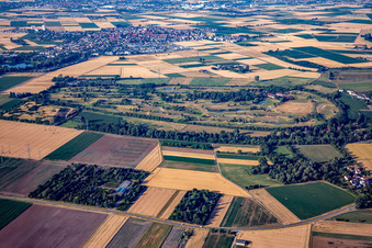 Vue d'oiseau de Terrain de golf Heddesheim Gut Neuzenhof à Heddesheim dans le département Bade-Wurtemberg, Allemagne
