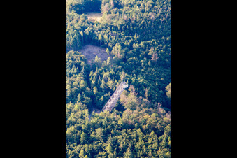 Vue aérienne de Tour du Tambour Rimbach à le quartier Zotzenbach in Rimbach dans le département Hesse, Allemagne