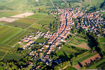 Vue aérienne de Ville du sud-ouest à Göcklingen dans le département Rhénanie-Palatinat, Allemagne
