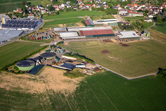 Vue aérienne de Siefert Horst à le quartier Vielbrunn in Michelstadt dans le département Hesse, Allemagne