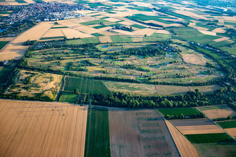 Terrain de golf Heddesheim Gut Neuzenhof à Heddesheim dans le département Bade-Wurtemberg, Allemagne vue du ciel