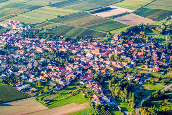 Vue aérienne de Du sud à Göcklingen dans le département Rhénanie-Palatinat, Allemagne