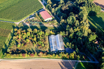 Vue aérienne de Serre à le quartier Heuchelheim in Heuchelheim-Klingen dans le département Rhénanie-Palatinat, Allemagne