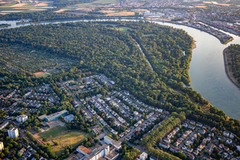 Vue aérienne de Reißinsel, réserve naturelle dans la boucle du Rhin à le quartier Niederfeld in Mannheim dans le département Bade-Wurtemberg, Allemagne
