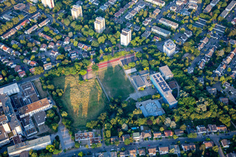Vue aérienne de Lycée Moll à le quartier Niederfeld in Mannheim dans le département Bade-Wurtemberg, Allemagne