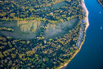 Vue aérienne de Camping Mannheim Plage sur le Rhin à le quartier Niederfeld in Mannheim dans le département Bade-Wurtemberg, Allemagne