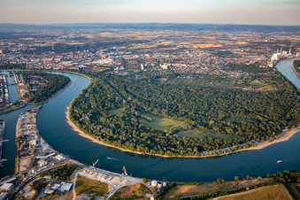 Vue aérienne de Reißinsel et Waldpark, réserve naturelle dans la boucle du Rhin depuis le sud à le quartier Niederfeld in Mannheim dans le département Bade-Wurtemberg, Allemagne