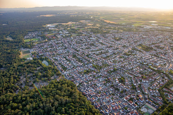 Vue aérienne de De l'est à Schifferstadt dans le département Rhénanie-Palatinat, Allemagne