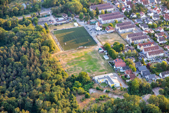 Vue aérienne de DJK SV Phönix Schifferstadt à Schifferstadt dans le département Rhénanie-Palatinat, Allemagne