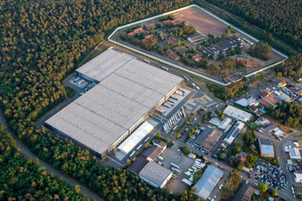 Vue aérienne de A + P Logistic GmbH à côté du centre de détention pour jeunes Schifferstadt à Schifferstadt dans le département Rhénanie-Palatinat, Allemagne