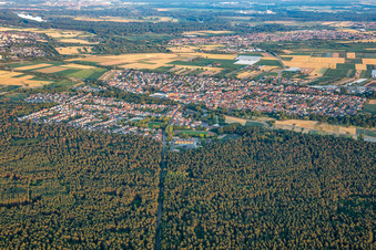 Vue aérienne de Iggelheimer Straße à travers la forêt à Dudenhofen dans le département Rhénanie-Palatinat, Allemagne
