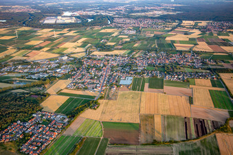 Vue aérienne de Du nord à Schwegenheim dans le département Rhénanie-Palatinat, Allemagne