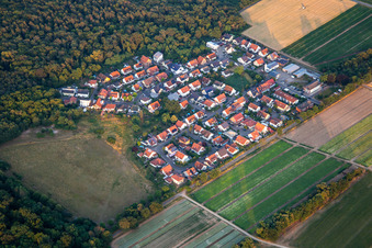 Vue aérienne de Buchenstr à Schwegenheim dans le département Rhénanie-Palatinat, Allemagne