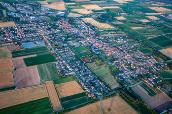 Vue aérienne de De l'ouest à Schwegenheim dans le département Rhénanie-Palatinat, Allemagne