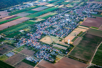 Vue aérienne de Du nord-est à le quartier Niederlustadt in Lustadt dans le département Rhénanie-Palatinat, Allemagne
