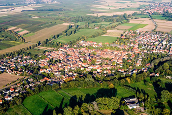 Vue aérienne de De l'ouest à le quartier Billigheim in Billigheim-Ingenheim dans le département Rhénanie-Palatinat, Allemagne