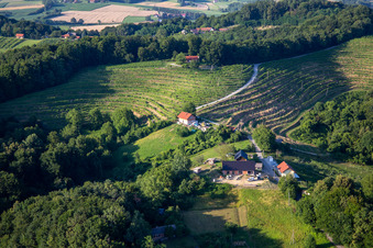 Vue aérienne de Vignobles à Ormož dans le département Slovénie, Slovénie