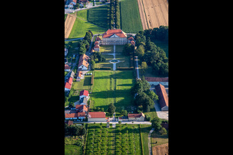 Vue aérienne de Château de Dornau à Dornava dans le département Slovénie, Slovénie