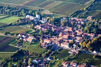 Vue aérienne de Moulin Bischoff à le quartier Appenhofen in Billigheim-Ingenheim dans le département Rhénanie-Palatinat, Allemagne