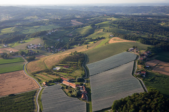 Vue aérienne de Camp romain / Camp Rimski Poetovio / Camp romain Poetovio à Ptuj dans le département Slovénie, Slovénie