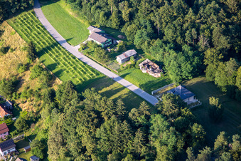 Vue oblique de Ptuj dans le département Slovénie, Slovénie