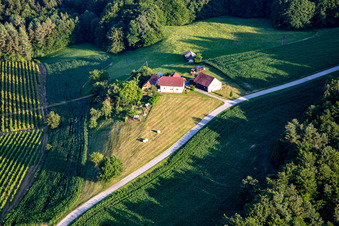 Vue aérienne de Petite ferme à Destrnik dans le département Slovénie, Slovénie