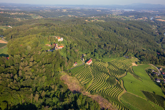 Vue aérienne de Église de Župnijska cerkev sv. Marije Vnebovzete et Café Huda Liza au-dessus des vignobles du Vurberg à Duplek dans le département Slovénie, Slovénie