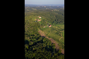 Vue aérienne de Église de Župnijska cerkev sv. Marije Vnebovzete et Café Huda Liza au-dessus des vignobles du Vurberg à Duplek dans le département Slovénie, Slovénie