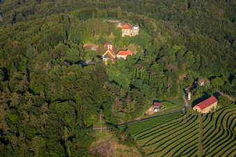 Photographie aérienne de Église de Župnijska cerkev sv. Marije Vnebovzete et Café Huda Liza au-dessus des vignobles du Vurberg à Duplek dans le département Slovénie, Slovénie