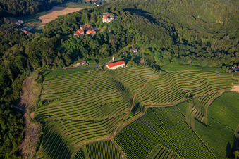 Église de Župnijska cerkev sv. Marije Vnebovzete et Café Huda Liza au-dessus des vignobles du Vurberg à Duplek dans le département Slovénie, Slovénie d'en haut