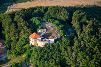Vue aérienne de Scène en plein air Hči najstarejše vinske trte na svetu sur le Vurberg à Duplek dans le département Slovénie, Slovénie