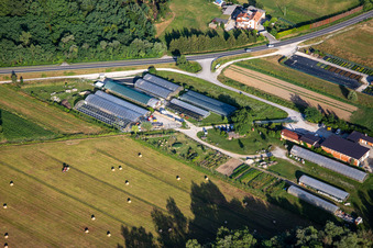 Vue aérienne de Jardinerie Vrtnarija Majdin Gaj et Horti doo à Renče-Vogrsko dans le département Slovénie, Slovénie