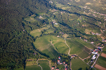 Vue aérienne de Vignobles à Nova Gorica dans le département Slovénie, Slovénie