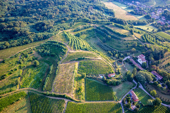 Photographie aérienne de Vignobles à Mossa dans le département Gorizia, Italie