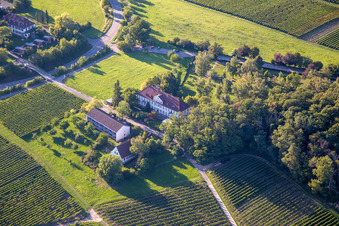 Vue aérienne de Keschde Buckel à Klingenmünster dans le département Rhénanie-Palatinat, Allemagne