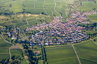 Vue aérienne de Sous le petit Kalmit à Ilbesheim bei Landau dans le département Rhénanie-Palatinat, Allemagne