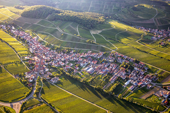 Vue aérienne de À Keschdebusch à Ranschbach dans le département Rhénanie-Palatinat, Allemagne