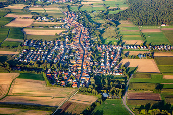 Vue aérienne de Vue du village le soir depuis l'ouest à Freckenfeld dans le département Rhénanie-Palatinat, Allemagne
