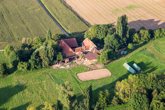Vue aérienne de Ferme avec chevaux à Erlenbach à Oberhausen dans le département Rhénanie-Palatinat, Allemagne