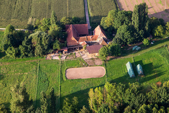 Vue aérienne de Ferme avec chevaux à Erlenbach à Oberhausen dans le département Rhénanie-Palatinat, Allemagne