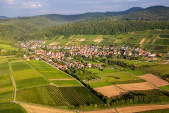 Vue aérienne de De l'est à le quartier Pleisweiler in Pleisweiler-Oberhofen dans le département Rhénanie-Palatinat, Allemagne