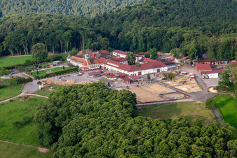 Vue aérienne de Étal de friture au monastère de Liebfrauenberg à Bad Bergzabern dans le département Rhénanie-Palatinat, Allemagne