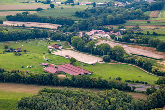 Vue aérienne de Harras de la Née à Mothern dans le département Bas Rhin, France