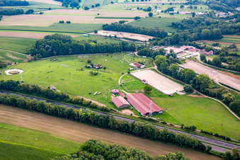 Vue aérienne de Harras de la Née à Mothern dans le département Bas Rhin, France