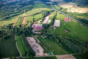 Harras de la Née à Mothern dans le département Bas Rhin, France depuis l'avion