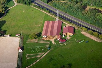 Harras de la Née à Mothern dans le département Bas Rhin, France vue du ciel