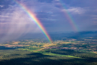 Vue aérienne de Double arc-en-ciel au-dessus du Bienwald à Freckenfeld dans le département Rhénanie-Palatinat, Allemagne