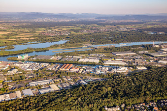 Vue aérienne de Ports rhénans de Strasbourg avec STEF Strasbourg, BAYONNE A, RHENUS LOGISTICS et Kloeckner Metals à le quartier Port du Rhin Sud in Straßburg dans le département Bas Rhin, France