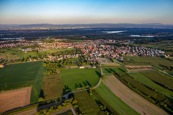 Vue aérienne de De l'ouest à Gerstheim dans le département Bas Rhin, France
